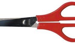 Forbicina Scuola Punta Arrotondata