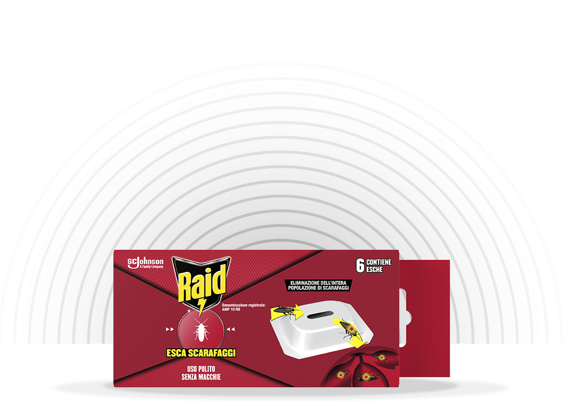 Raid Esca Scarafaggi 6 pezzi